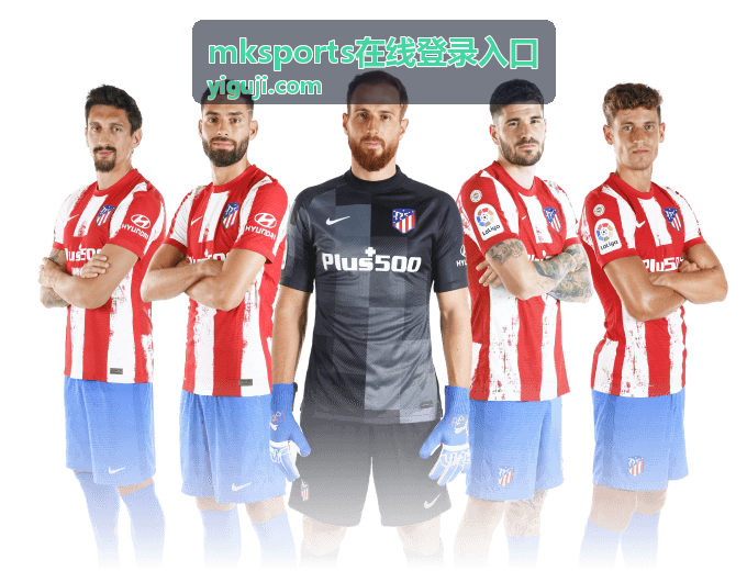mksports在线登录入口首次验证流程演示