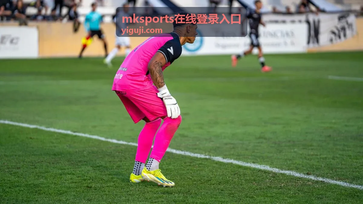 mksports在线登录入口验证动作流程